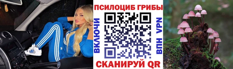 Псилоцибиновые грибы Cubensis Купить закладки Дегтярск